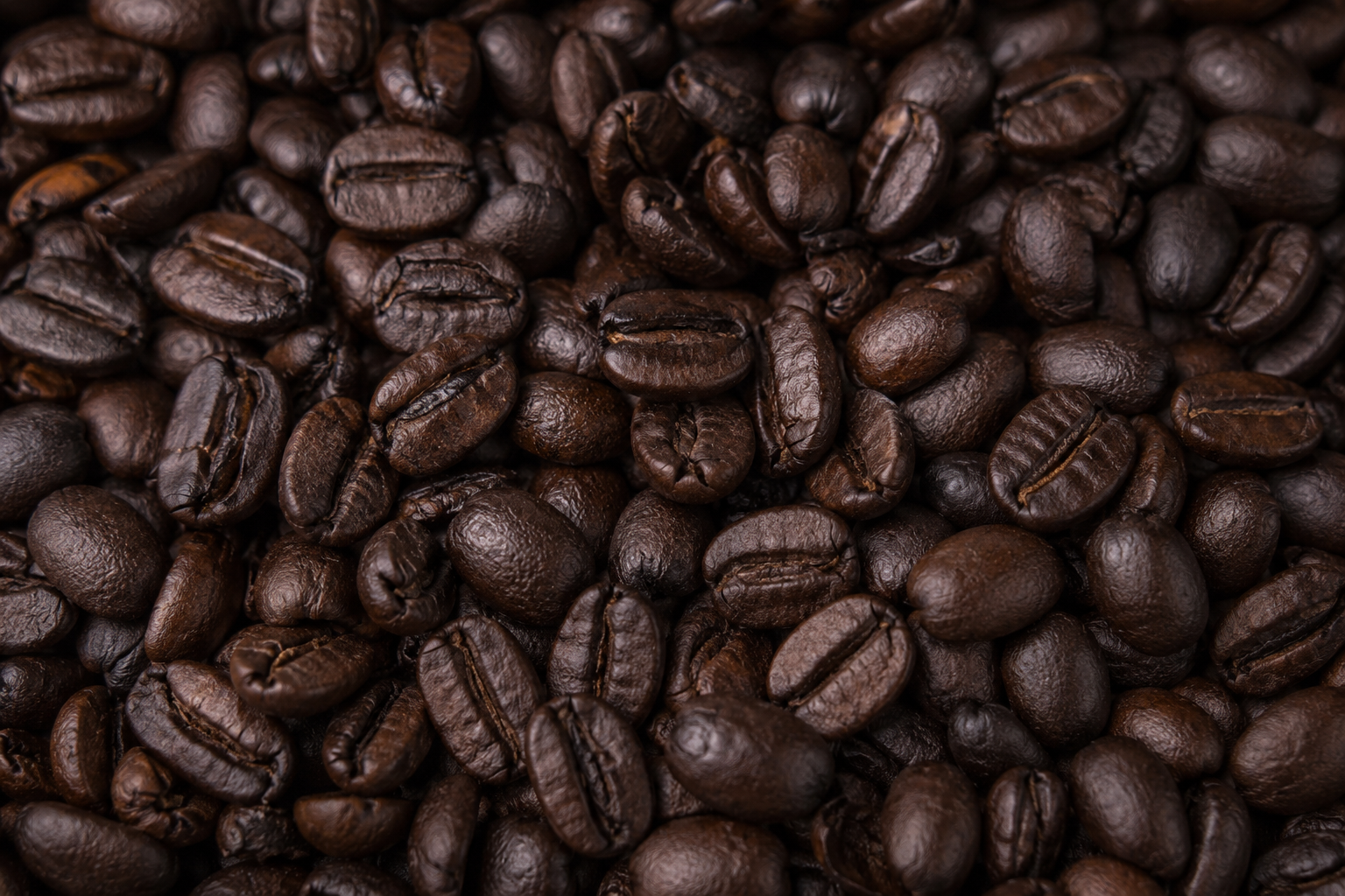 Café Orgánico